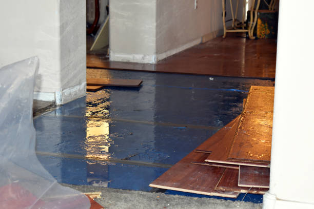 Professional Water Extraction technician working in Santa Rosa, TX